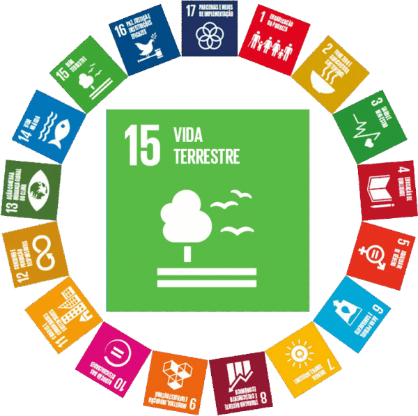 objetivo de desenvolvimento sustentável da ONU para um planeta vivo e próspero